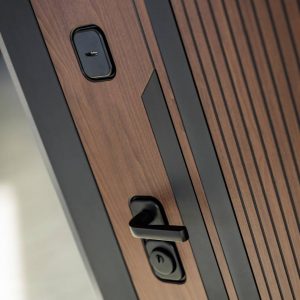 Входная дверь Кармина с Зеркалом 18 — Бетон светлый купить в Москве