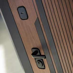 Входная дверь Кармина 02 — Венге, стекло белое купить в Москве