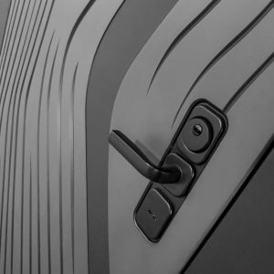 Входная дверь Леолаб с Зеркалом тонированным Максимум — Черный кварц купить в Москве