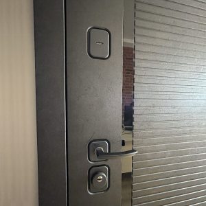 Форте ФЛЗ 120 MAX тонир зеркало Шагрень графит купить в Москве
